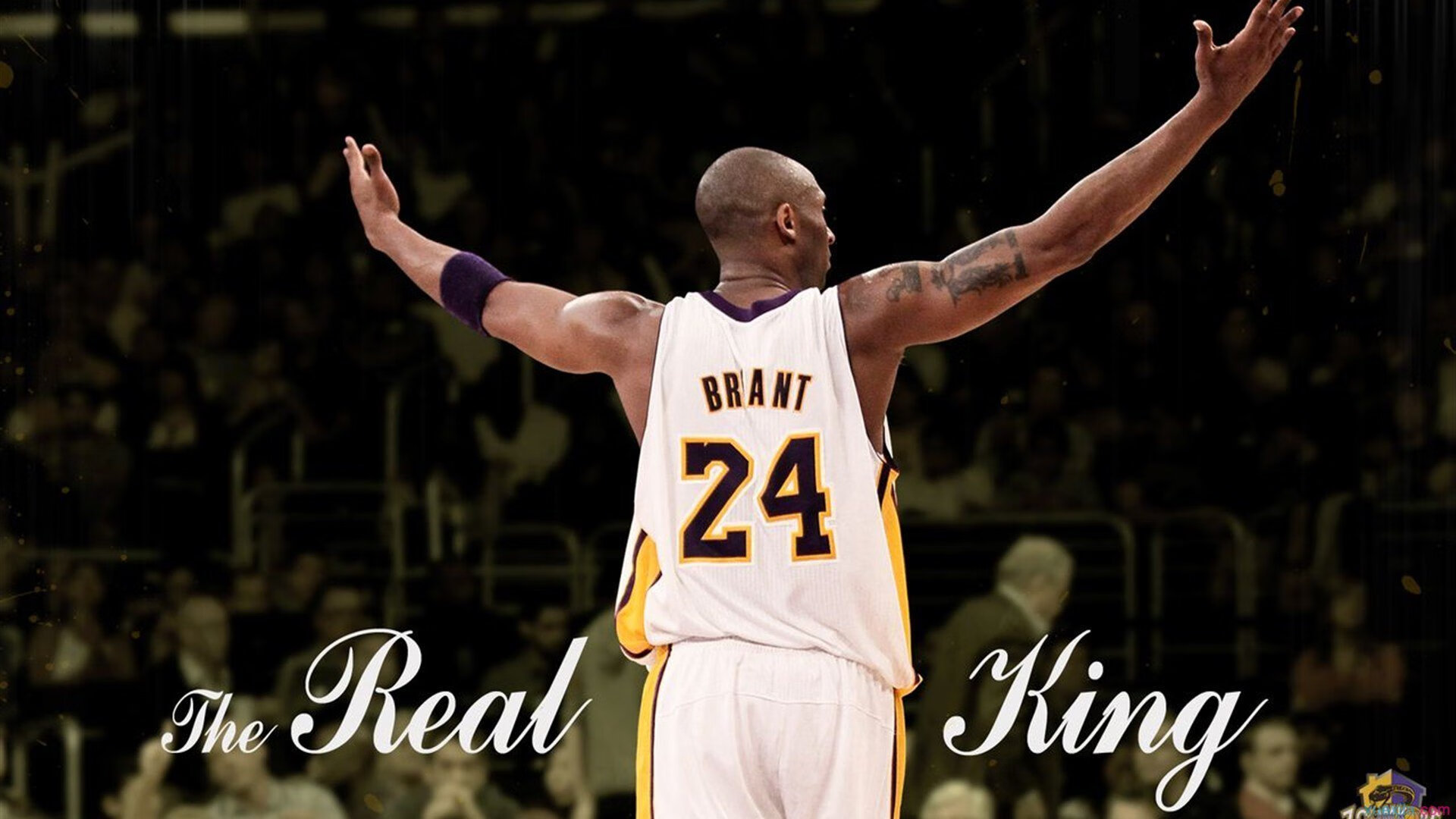 开云体育中国官网-撕裂优雅，美网如何用喧嚣的民主，让温网的寂静传统黯然失色